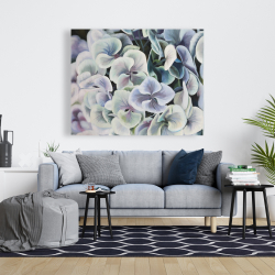 Toile 48 x 60 - Fleurs d'hortensia colorées
