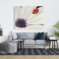 Canvas 48 x 60 - White daisy and ladybug