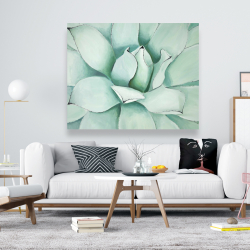 Canvas 48 x 60 - Succulent closeup