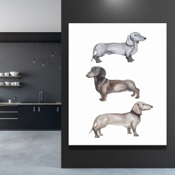 Canvas 48 x 60 - Dachshund dogs