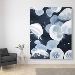 Canvas 48 x 60 - Jellyfishs