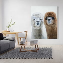 Toile 48 x 60 - Deux lamas