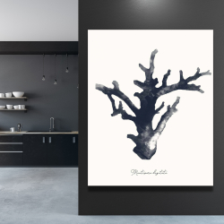 Toile 48 x 60 - Montipora digitata