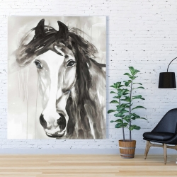 Toile 48 x 60 - Magnifique cheval sauvage