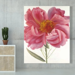 Canvas 48 x 60 - Pink peony flower