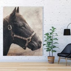 Toile 48 x 60 - Gallopin le cheval brun