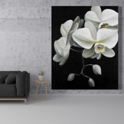 Canvas 48 x 60 - White orchids