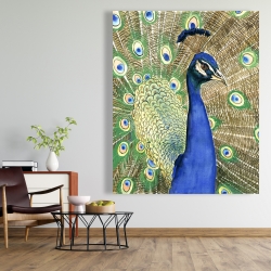 Canvas 48 x 60 - Peacock