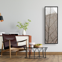 Encadré 16 x 48 - Feuilles séchées translucides