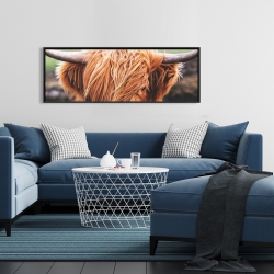 Framed 16 x 48 - Portrait highland cow
