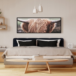 Encadré 16 x 48 - Vache highland désaturée