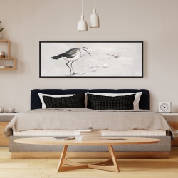 Encadré 16 x 48 - Bécasseau semipalmé