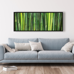 Framed 20 x 60 - Green bamboo