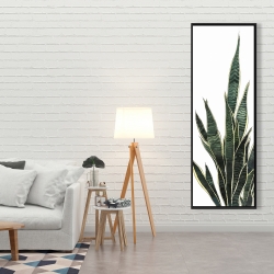 Encadré 20 x 60 - Plante couteau