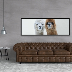 Framed 20 x 60 - Two lamas