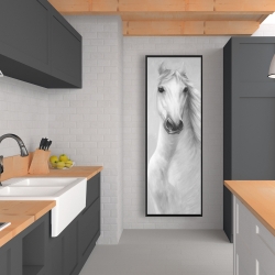 Framed 20 x 60 - Monochrome mighty white horse