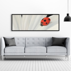 Framed 20 x 60 - White daisy and ladybug