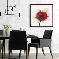 Framed 24 x 24 - Anemone red flower