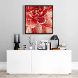 Framed 24 x 24 - Red chrysanthemum