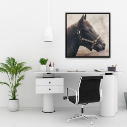 Encadré 24 x 24 - Gallopin le cheval brun