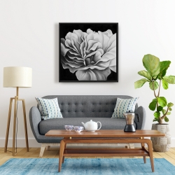 Framed 24 x 24 - Beautiful black and white flower