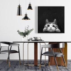 Framed 24 x 24 - Curious cat