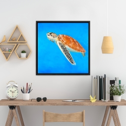 Framed 24 x 24 - Sea turtle