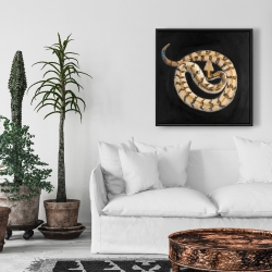 Framed 24 x 24 - Southern timber rattlesnake