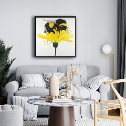 Framed 24 x 24 - Bumblebee on a dandelion