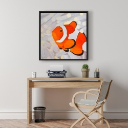 Framed 24 x 24 - Clownfish