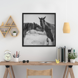 Framed 24 x 24 - Horses lover
