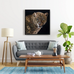 Framed 24 x 24 - Realistic fierce leopard