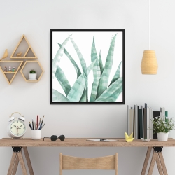 Framed 24 x 24 - Watercolor striped desert plant