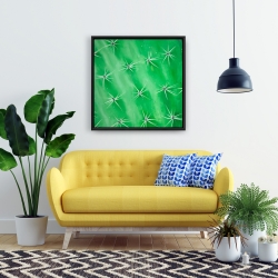 Framed 24 x 24 - Cactus closeup