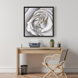 Framed 24 x 24 - White rose delicate