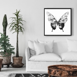 Framed 24 x 24 - Black butterfly sketch