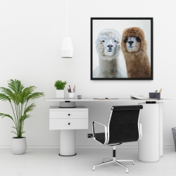 Framed 24 x 24 - Two lamas