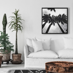 Framed 24 x 24 - Monochrome palm trees