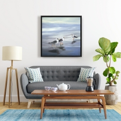 Encadré 24 x 24 - Trois goélands