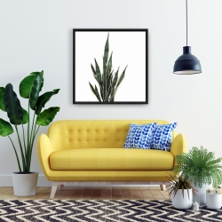 Encadré 24 x 24 - Plante couteau