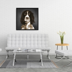 Encadré 24 x 24 - Springer spaniel anglais brun
