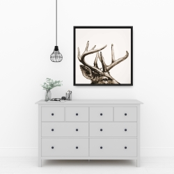 Framed 24 x 24 - Roe deer plume sepia