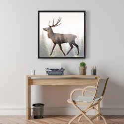 Framed 24 x 24 - Large plume roe deer