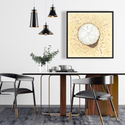 Encadré 24 x 24 - Dollars des sables