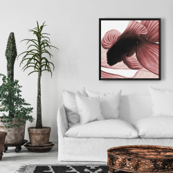 Encadré 24 x 24 - Deux betta rouge