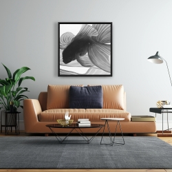 Framed 24 x 24 - Monochrome two betta