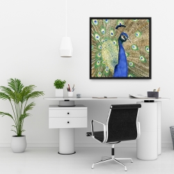 Framed 24 x 24 - Peacock