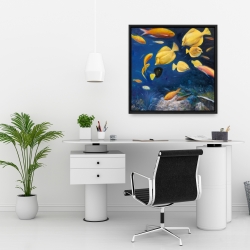 Encadré 24 x 24 - Poissons sous l'océan