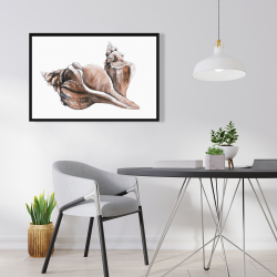 Encadré 24 x 36 - Coquillage de conque de cheval neutre