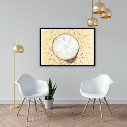 Encadré 24 x 36 - Dollars des sables